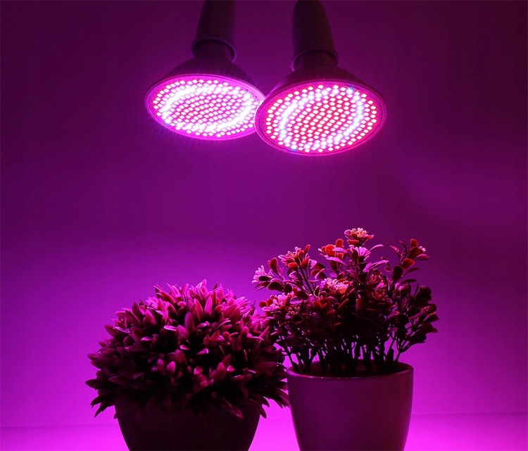 441b722d9734204d721abc861e20a719