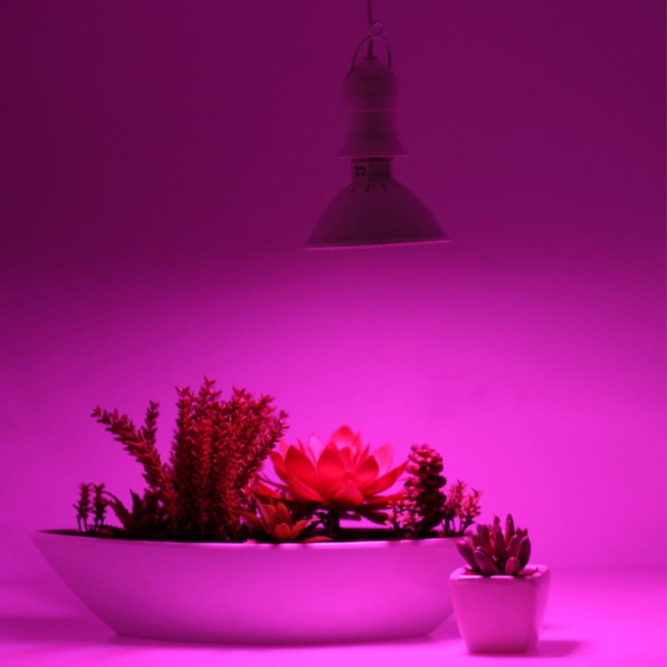 630cefd79f4e982129d6eb3d86953791