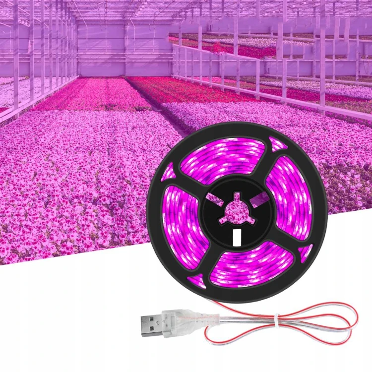 3339a33c6f1f1a30d8d2db1b92e67437