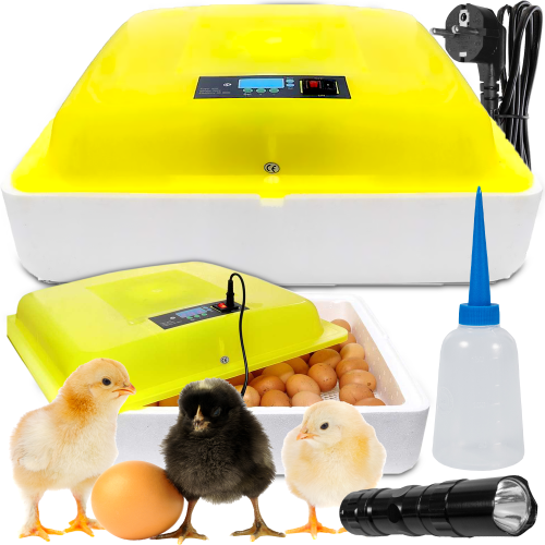 77aa776cf9041878e36a07c1393fd95d