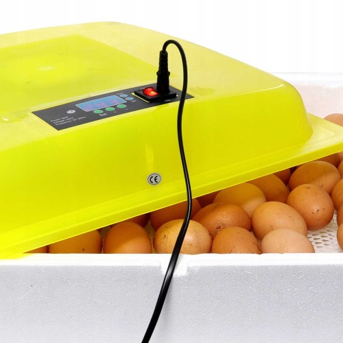 f666eedb61095a9d6c7d1e6240b22830