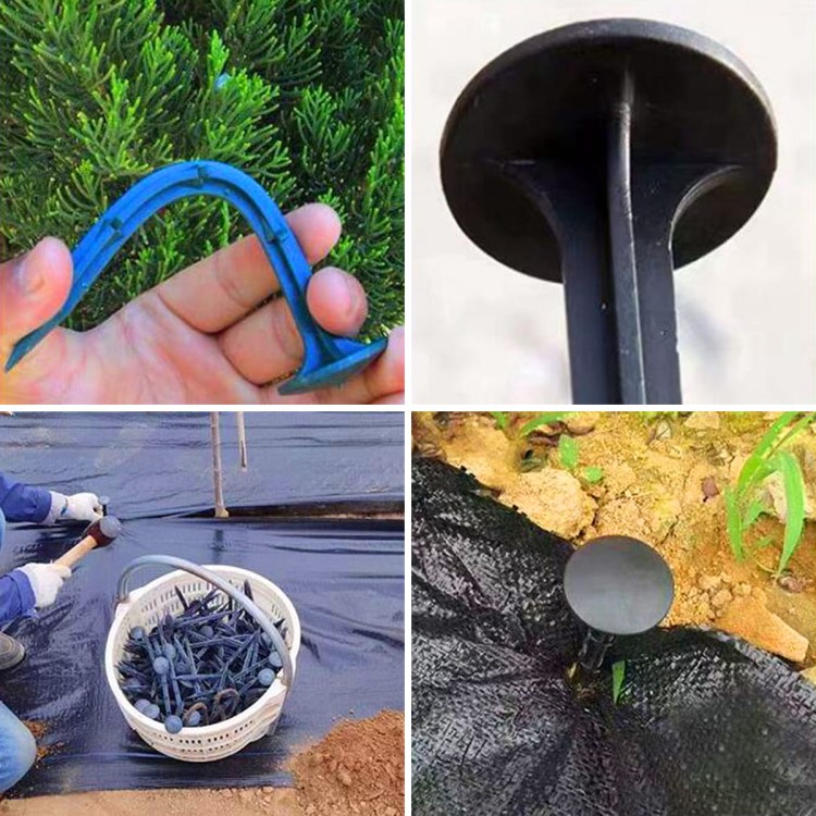 ca6893d26f07b52409608442ce7d0e7f