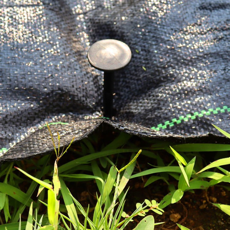 90480c68e2c0fbf0f31f4cbf088b9fa3