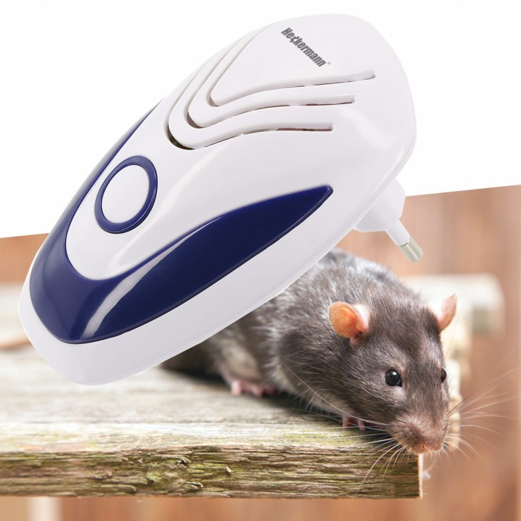 a6e311c3bfd5a4398926b2b18683f996