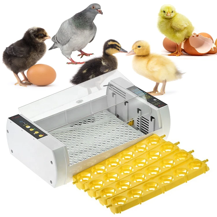 fc9a9be68dfd01450da8ed4323beb7bd