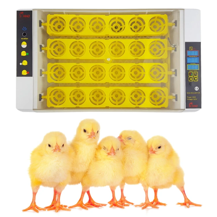 1c56d1443295594c6c62ca13da92be23