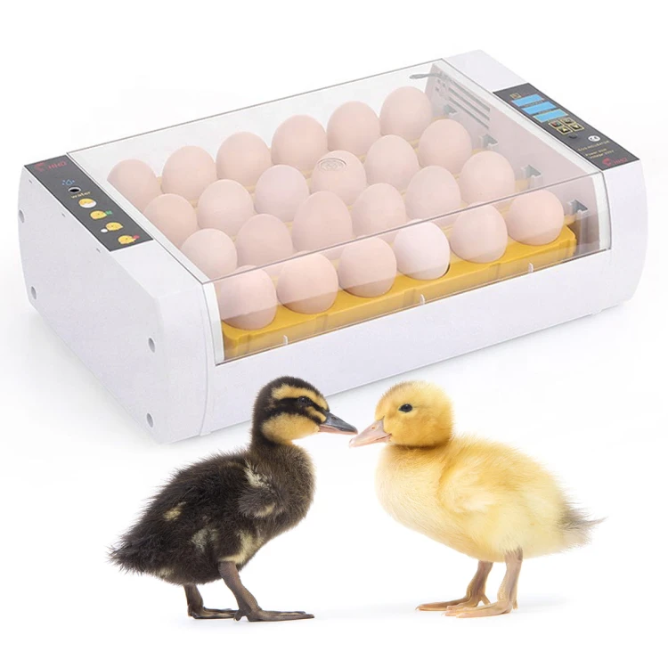 96dc218af08df142f397e0fa16dc5d69