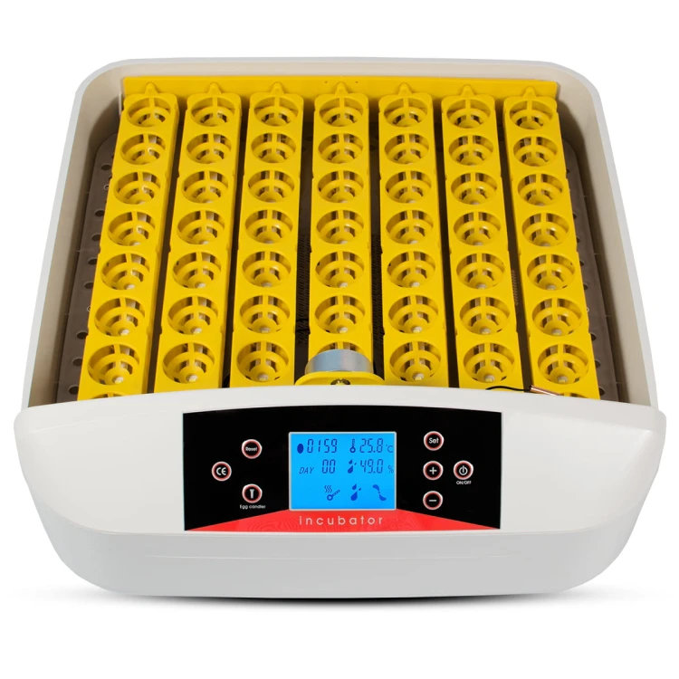 3af18ee5397246843a4fbe5e63860766