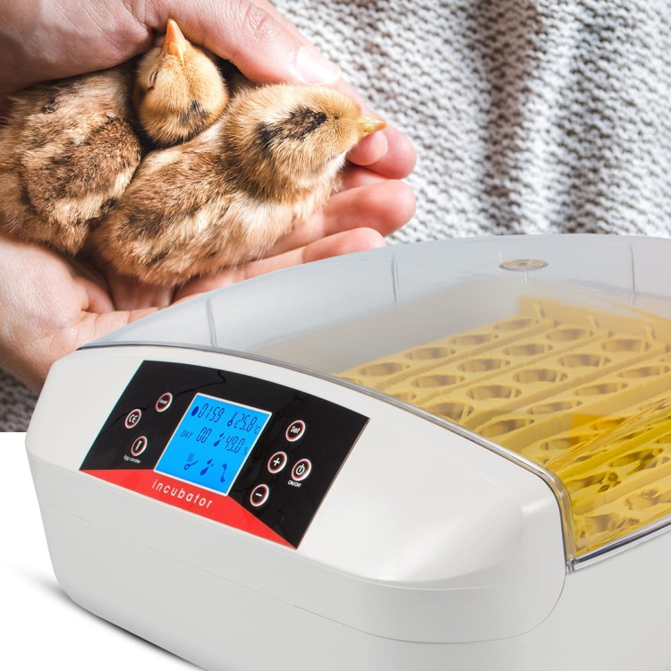 0e82f328aa544b473c9aa48637184060