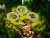 4ad6fb74c477e548155575bcc9193abb