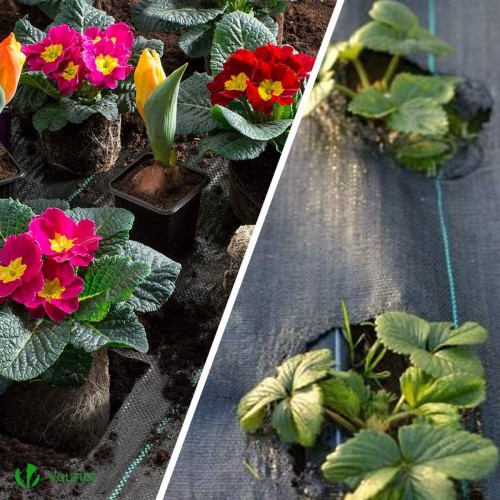 eb451bd2900547fd40a13e81e4a0c977