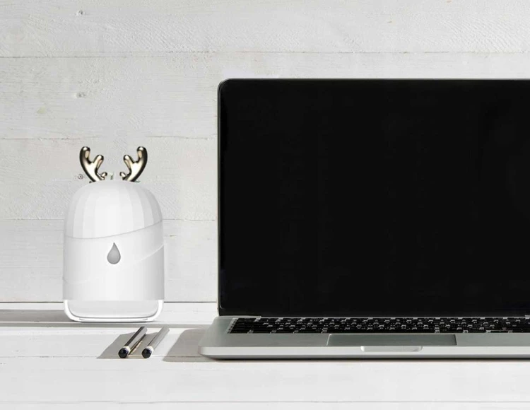 cce832aaab65eb123511d0599f586ade