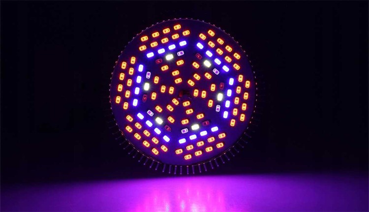 a2c33fb4e2c2d33fbfec9ab180dacf5b