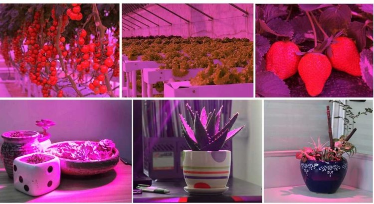 aded4272c6e60d2ceb55e5cfa46dde0c