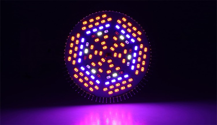 f4becc45be931a222d5d1e62241af4cc