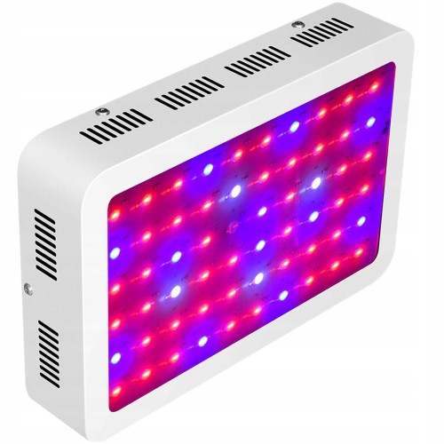 eb43d845e4894c14498c55b56b252b15