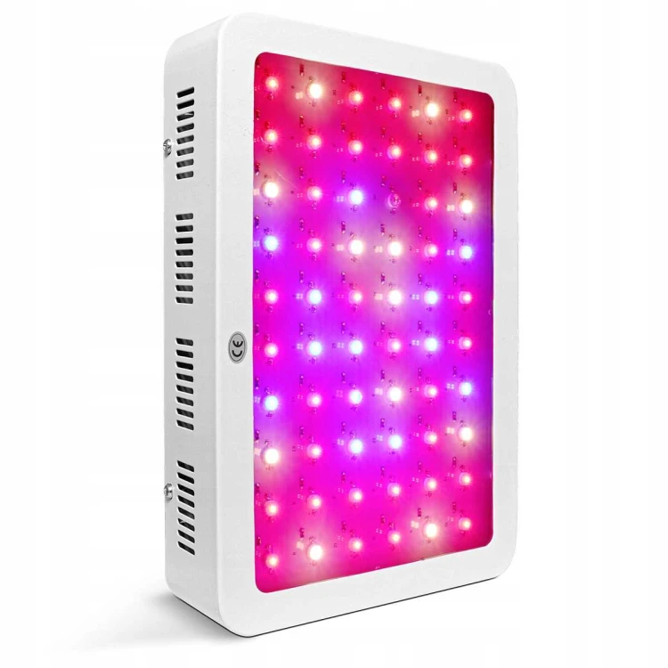 8c9623c4a1a5be8a85bcc9642c1c54e8