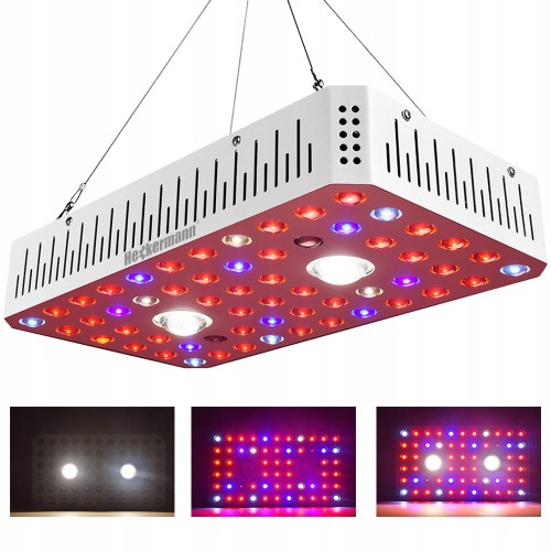 ba394f736b752a5e791cb7d5dd42fafb