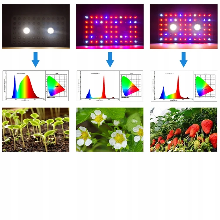 16e2969d8f598ab7c3071fb27f47ade0