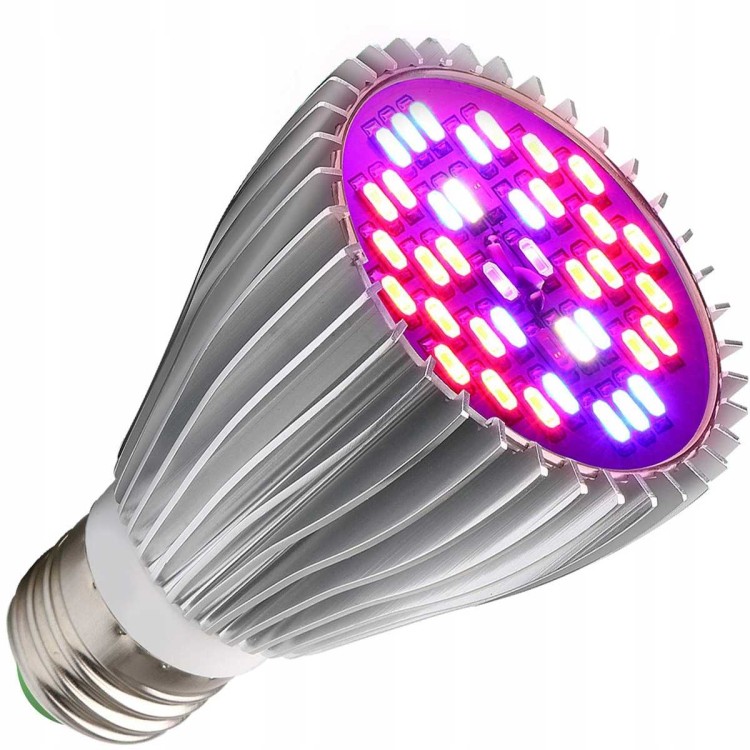 b908a37a1a7b11c63c464b7899159d1d